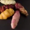 Oca Tubers 1 Oca Tubers -Alpha Oca 77b52da5 0da9 4664 8365 3a9e54034672