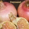 Eversweet Pomegranate
