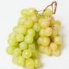 Himrod Seedless Grape -Alpha himrod grape