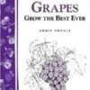 Great Grapes -Alpha httpraintreenursery.netps180