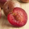 Combo Zee Sweet Pluot Tree (4 Varieties) -Alpha zee sweet pluot 1 1